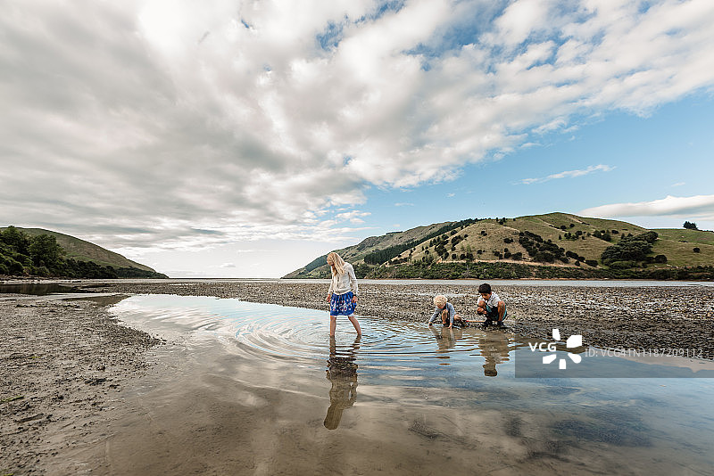 兄弟姐妹在新西兰南岛寻找贝类图片素材