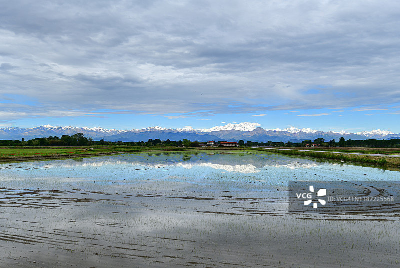 稻田里的倒影图片素材