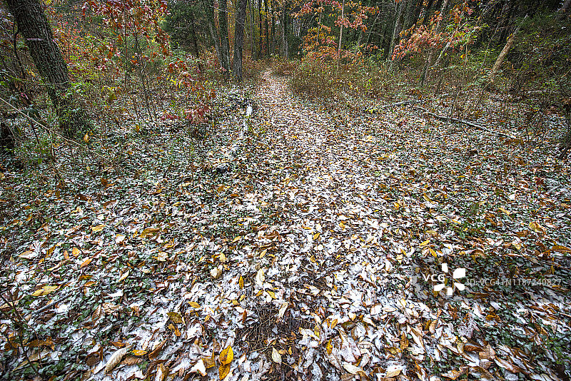 秋季HDR黄橙色图片素材