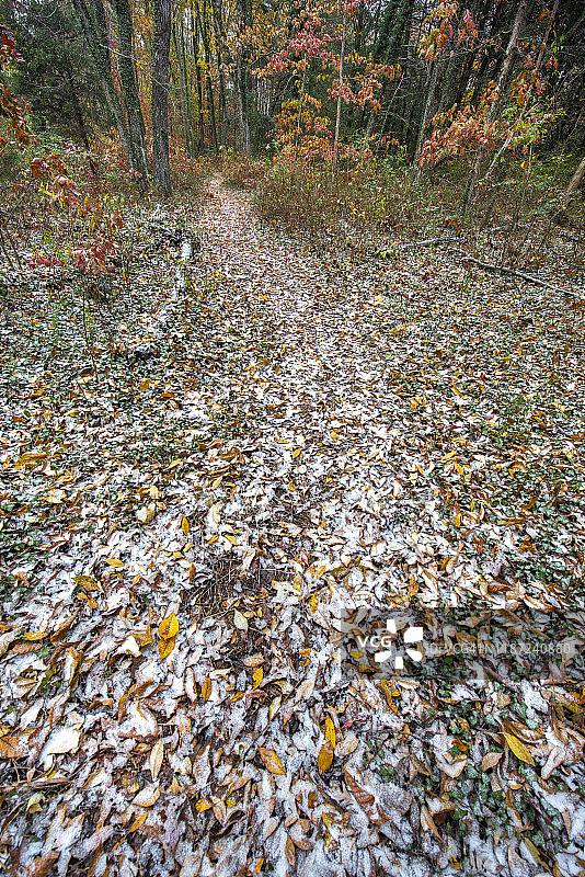 秋季HDR黄橙色图片素材