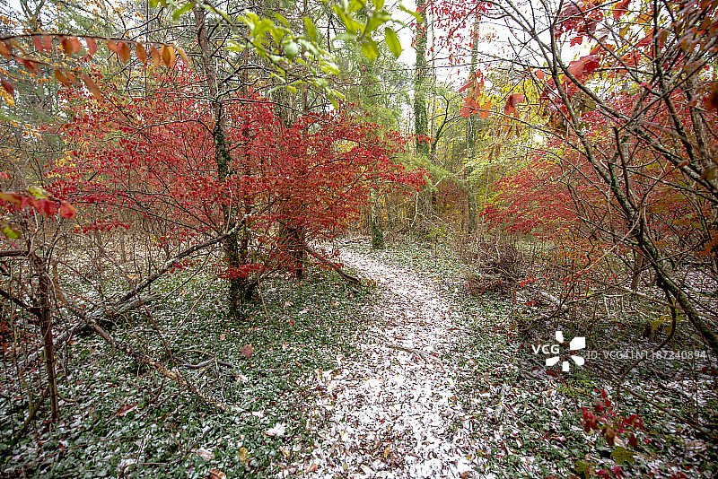 秋季黄色橙色HDR照片图片素材
