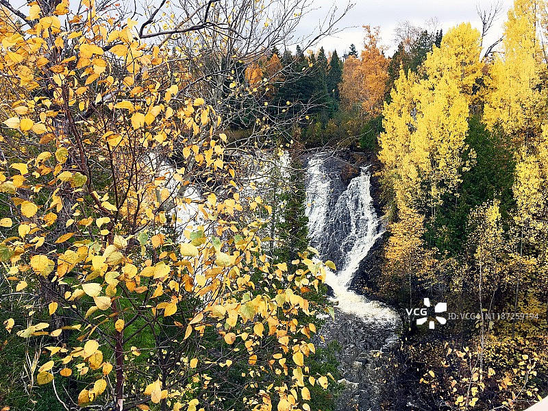 秋叶映衬下的老鹰河瀑布图片素材