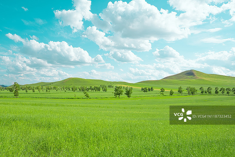 夏日绿色自然风光图片素材