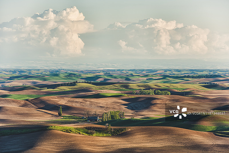 帕卢斯绵延山丘图片素材
