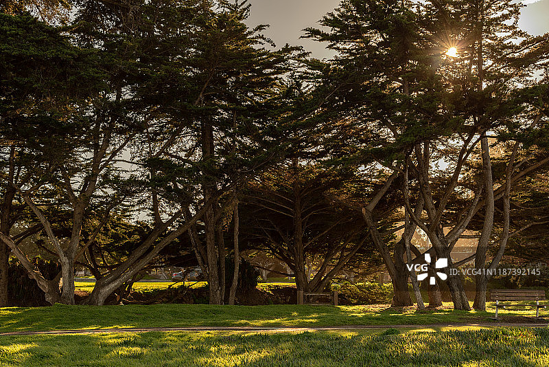 日落时分宁静的公园景观图片素材