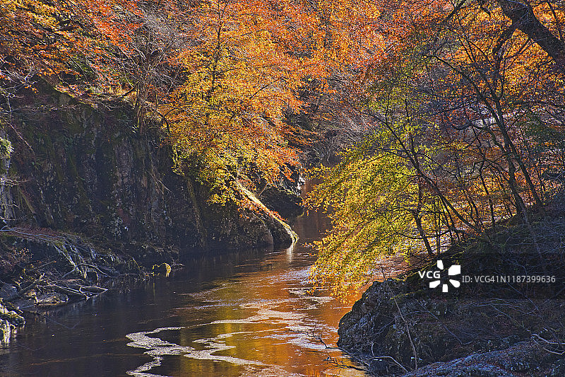 秋季风光：苏格兰珀斯郡图片素材