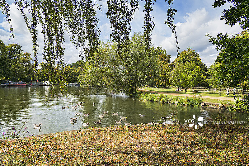 英国牛津大学基督教堂草坪旁的泰晤士河图片素材