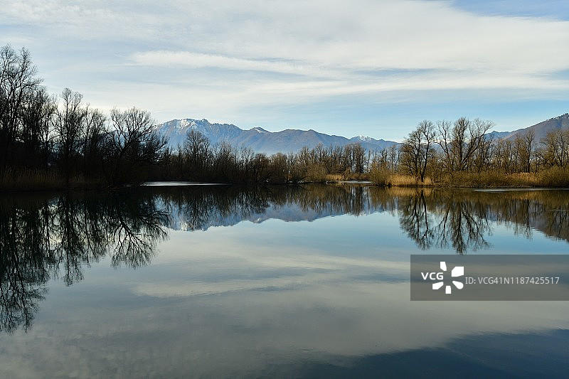 静水中树木的倒影图片素材