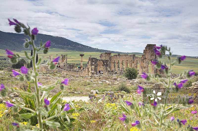在绿色山谷中漫步图片素材