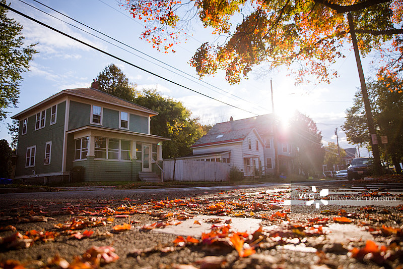 居民区的秋叶：地面上色彩鲜艳的枫叶图片素材