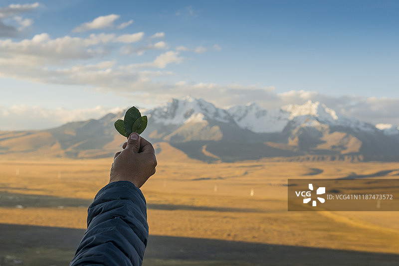 在秘鲁，手持古柯叶进行土地支付仪式图片素材