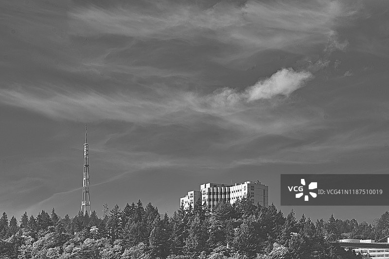 波特兰城市景观图片素材