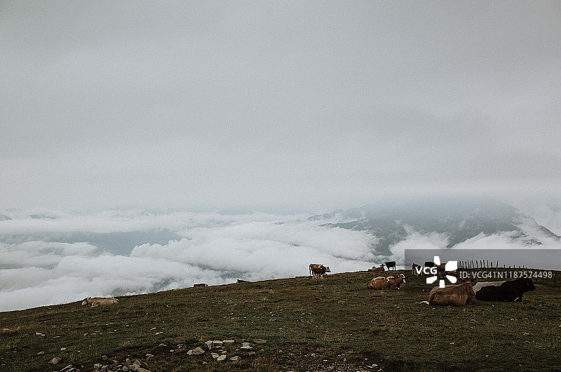奇尔诺克山云海图片素材