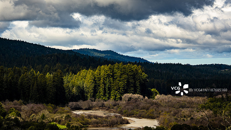 门多西诺亨迪伍兹州立公园的原始红杉森林图片素材
