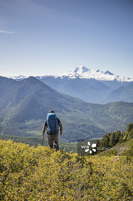 华盛顿贝克山高山草甸徒步图片素材