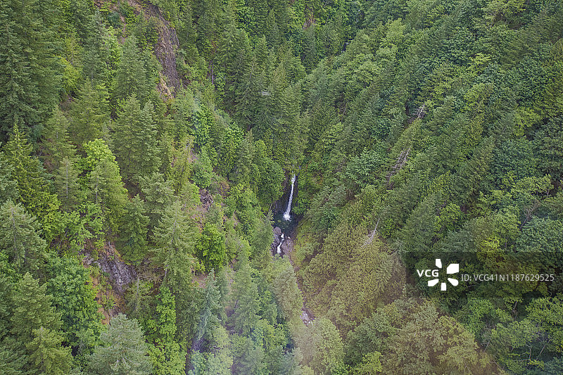 不列颠哥伦比亚省霜溪峡谷与瀑布，加拿大图片素材