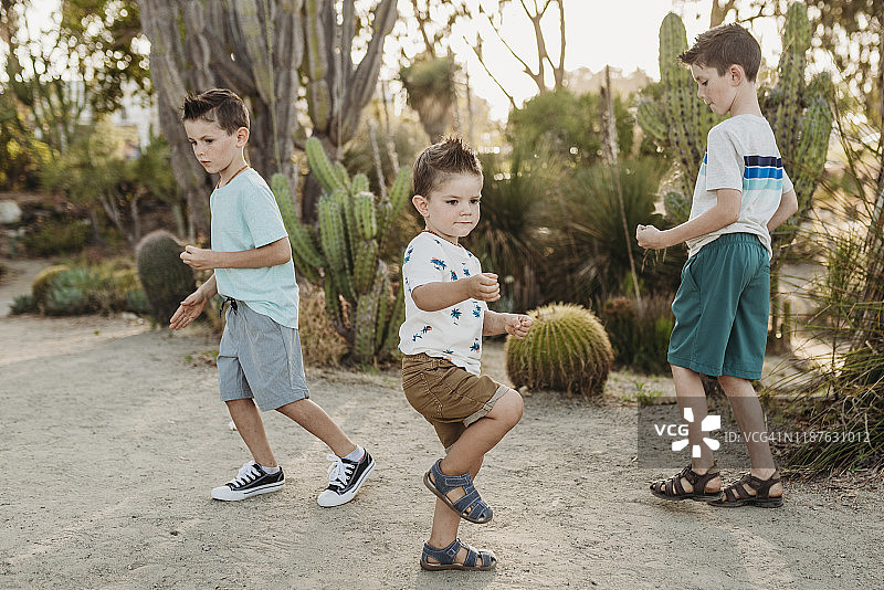 三个年轻的兄弟在阳光明媚的仙人掌花园里跳舞图片素材