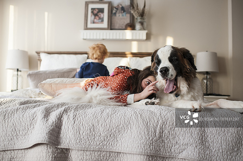 孩子们躺在床上，女孩试图触摸大狗的舌头图片素材