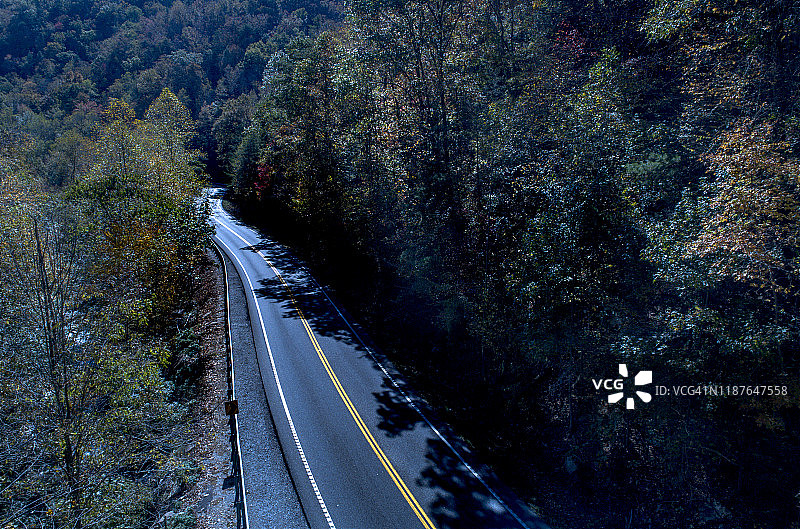 树木农场图片素材