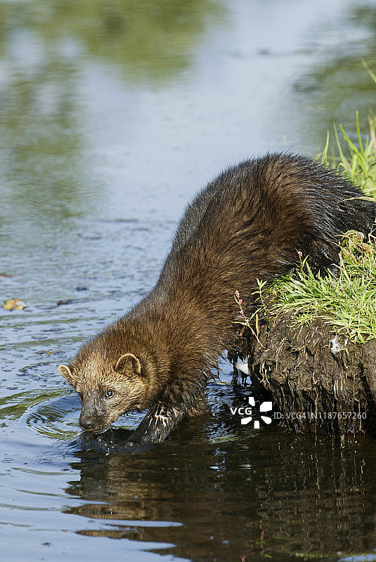 水中渔民图片素材