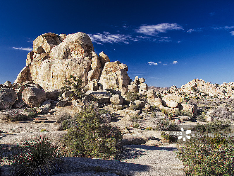 约书亚树国家公园隐谷图片素材