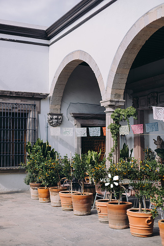 殖民地庭院中的盆栽橘子树和纸花环图片素材