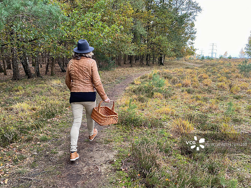 寻找松果图片素材