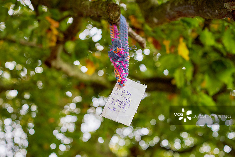 “我希望拥有幸福长寿的人生”图片素材