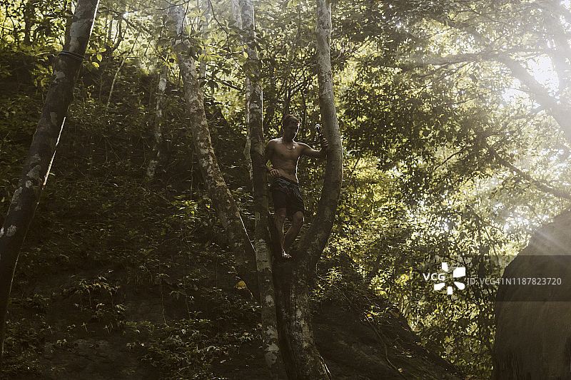 男人挂在树上图片素材