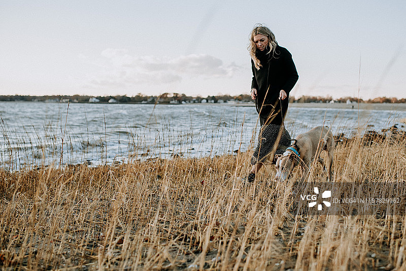 冬天在海滩上遛狗的女人图片素材
