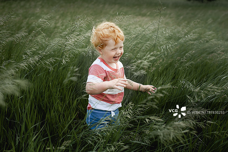 1-2岁男童站在长长的草丛中欢笑图片素材