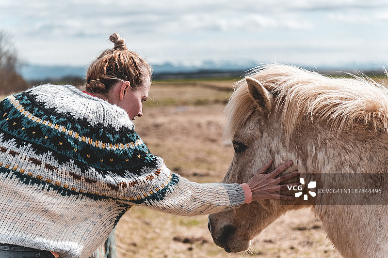 与美丽马的时刻图片素材