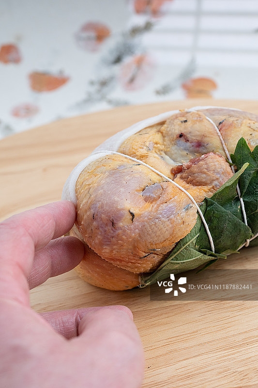 生野鸡图片素材