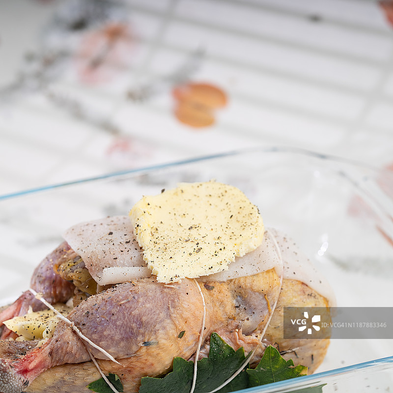 生野鸡图片素材