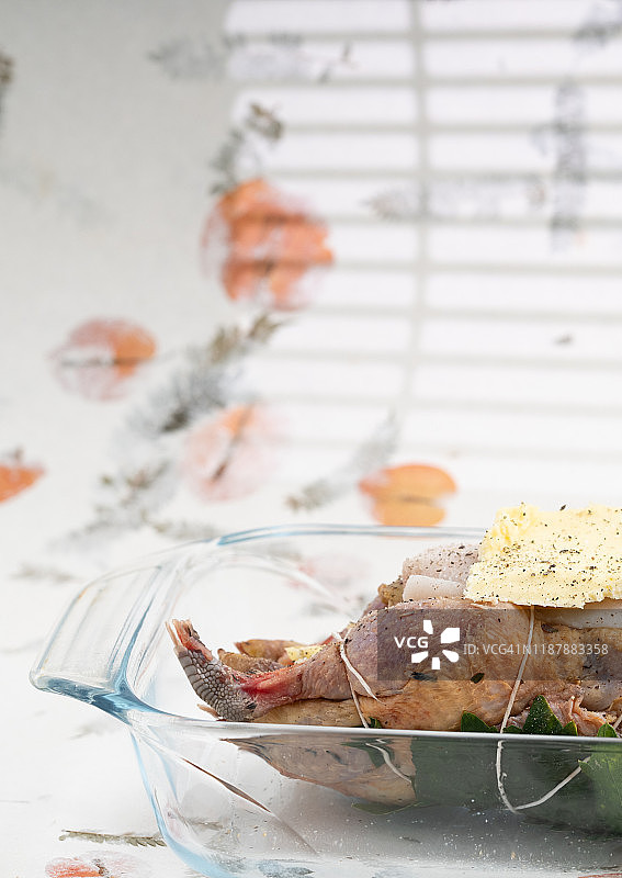 生野鸡图片素材