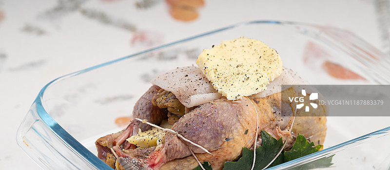 生野鸡图片素材