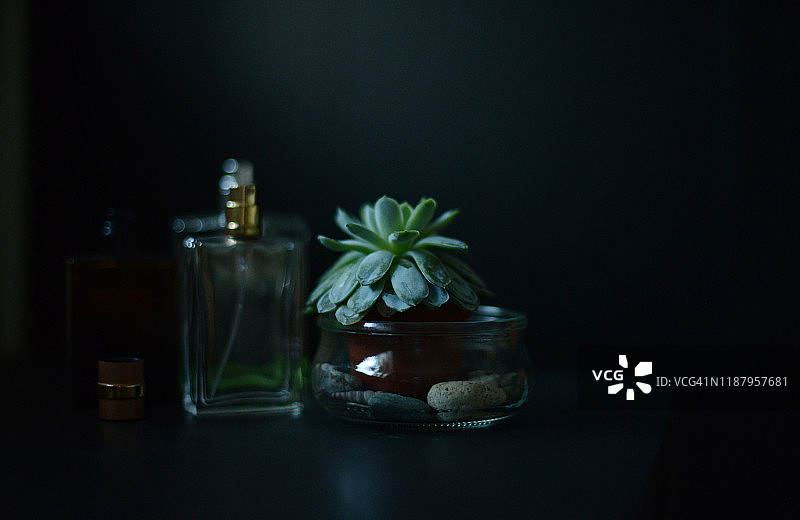 三个香水瓶和一盆多肉植物在黑色架子上图片素材