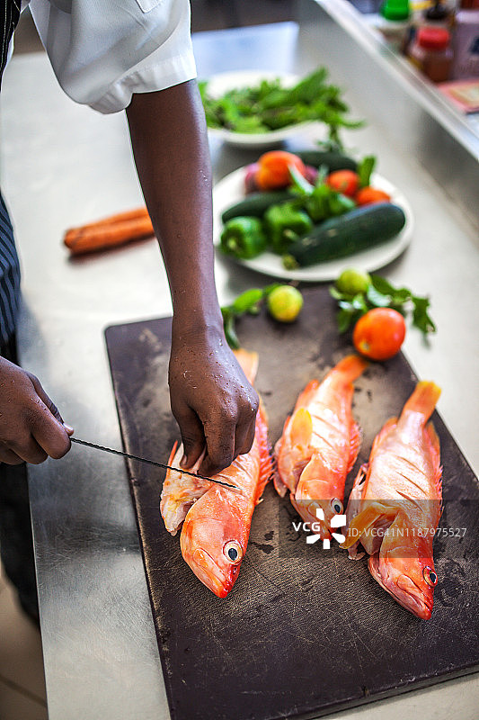 厨师准备鱼或海鲜料理图片素材