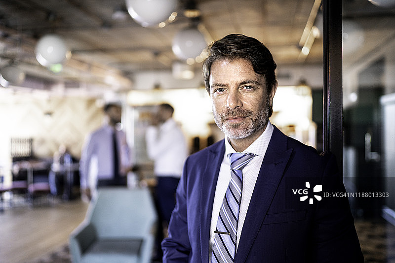 办公室里的商人肖像图片素材