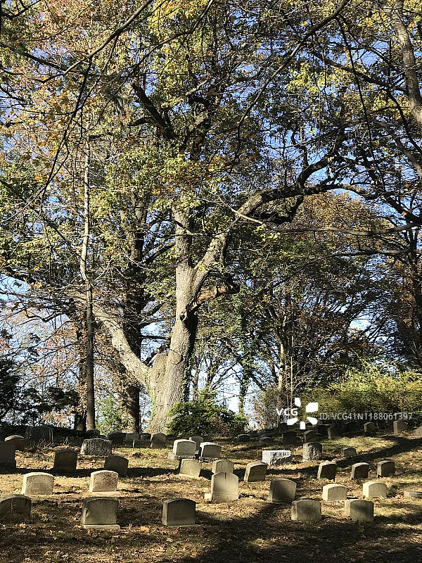 贵格会公墓图片素材