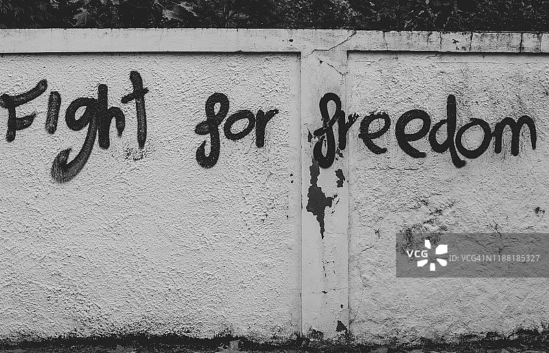 为自由而战图片素材