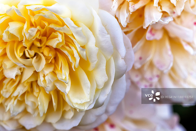 风光不再图片素材