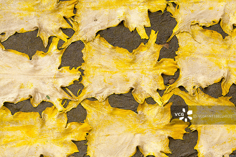 摩洛哥非斯麦地那，中阿特拉斯山脉图片素材