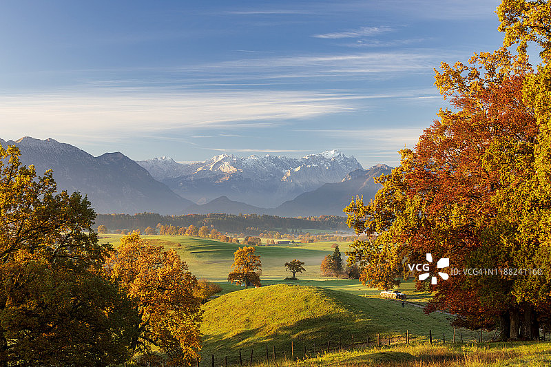 巴伐利亚的秋天：背景是楚格峰的慕尔瑙沼泽图片素材