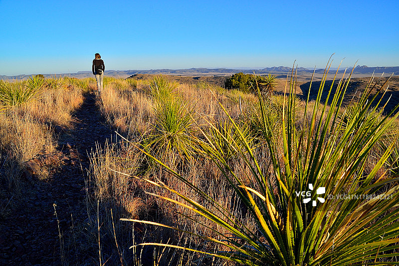 在德克萨斯州徒步旅行图片素材