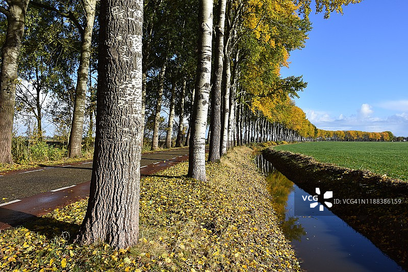 秋天的心情图片素材