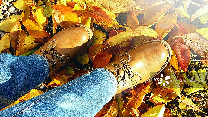 秋天的落叶图片素材