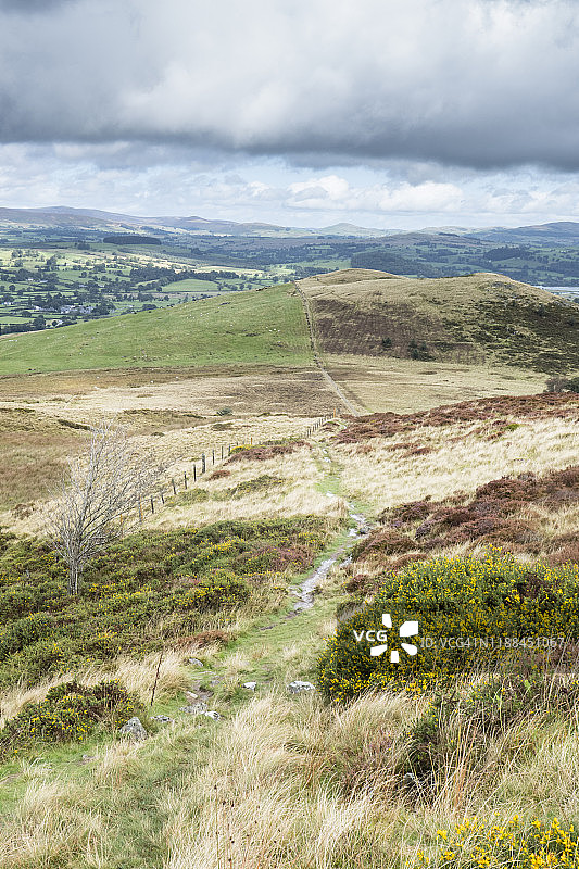从山上眺望斯诺多尼亚 Aran Fawddwy 山顶图片素材