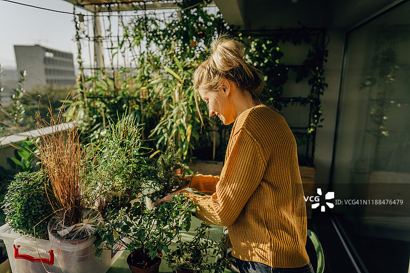 养护植物图片素材