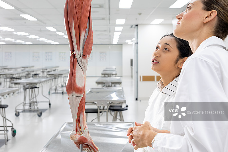 两位女性医学生在大学实验室学习图片素材